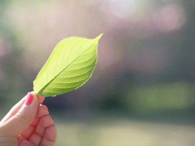 经典感情说说:我若在你心上,情敌三千又何妨1