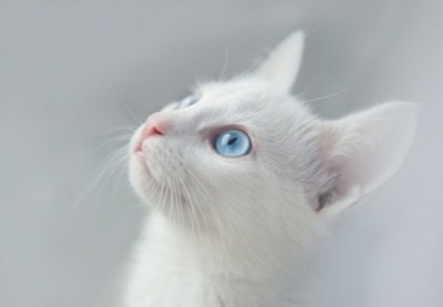 个人说说超拽:有时候疏远某人不是讨厌,而是太喜欢