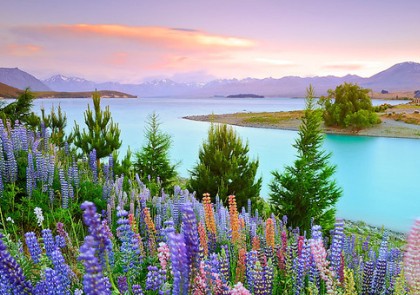 最受欢迎的QQ心情:两情若是长久时,还不结婚待何时