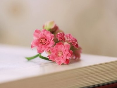 精彩的空间说说:为了未来美一点,现在必须苦一点