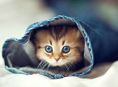 很有内涵的说说:在最深的绝望里,遇见最美丽的风景1