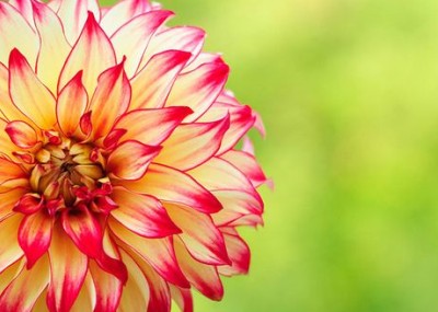 经典心情语录:爱上一座城,大抵是因为,这里住着一个你爱的人1