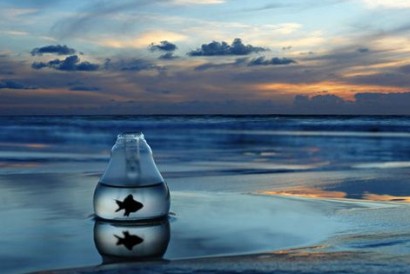 最热门的QQ心情:谁年轻的时候没爱过几个人渣