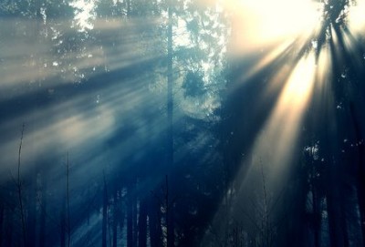 哲理说说大全:生命中再无聊的时光,也是限量版