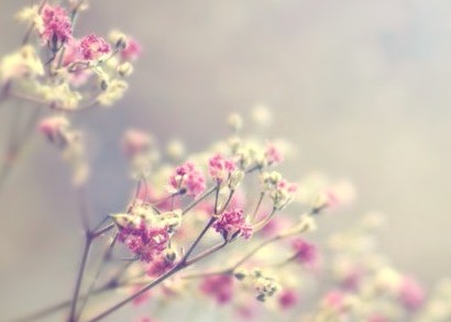 痛心的句子:有多少人喜欢听“你闹够了没有”